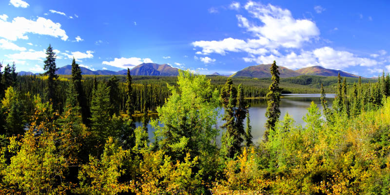Pelly River near Faro, Campbell Hwy, Yukon